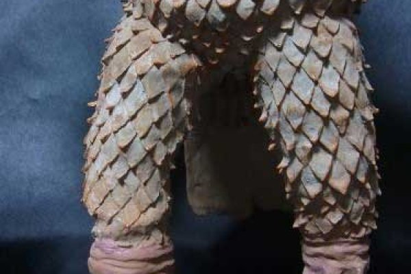 Ссылка на кракен krakens13 at