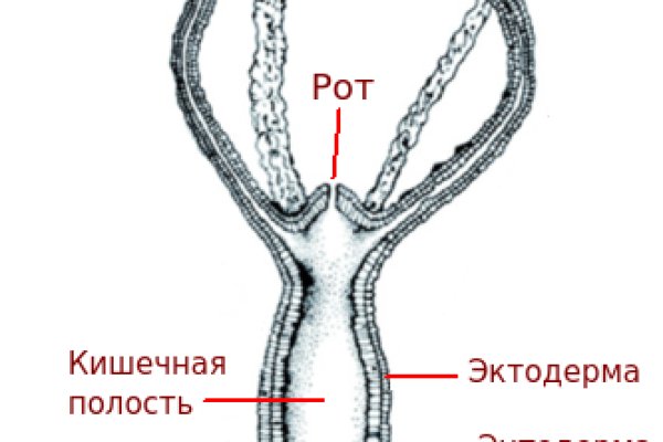 Не работает сайт kraken