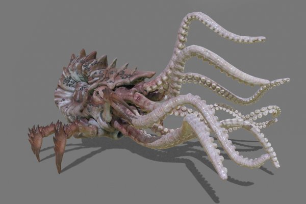 Kraken зеркало krakens13 at