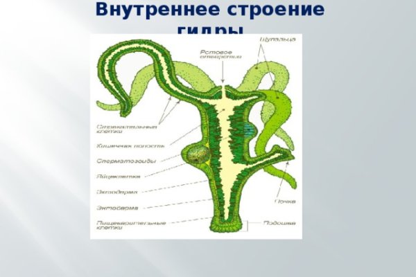 Правильная ссылка на кракен