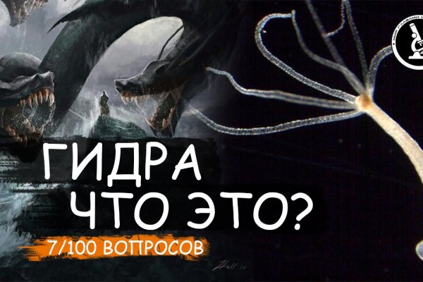 Kraken https что это